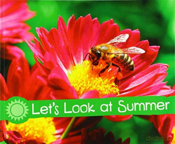 Investigate the Seasons: Let's Look at Summer - Sarah L. Schuette [KSIĄŻKA]