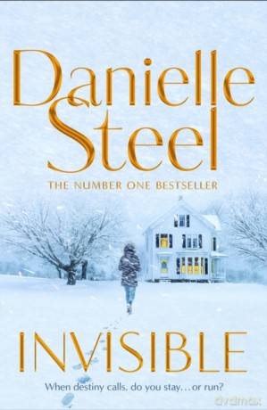 Invisible - Danielle Steel [KSIĄŻKA]