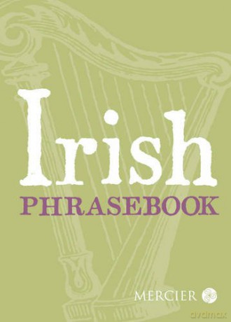Irish Phrasebook - Niall Callan [KSIĄŻKA]