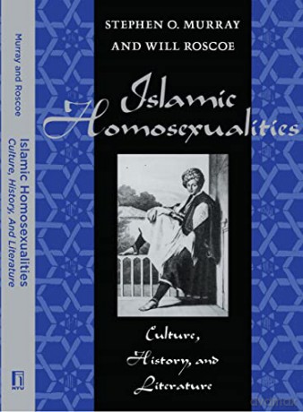 Islamic Homosexualities: Culture, History and Literature - Will Roscoe [KSIĄŻKA]