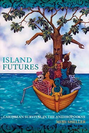 Island Futures: Caribbean Survival in the Anthropocene - Mimi Sheller [KSIĄŻKA]