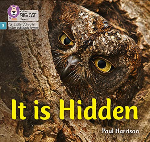 It is Hidden: Phase 3 Set 2 (Big Cat Phonics for Little Wandle Letters and Sounds Revised) - Paul Harrison [KSIĄŻKA]