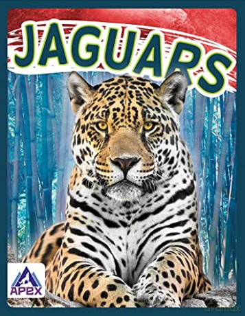 Jaguars (Wild Cats) - Sophie Geister-Jones [KSIĄŻKA]