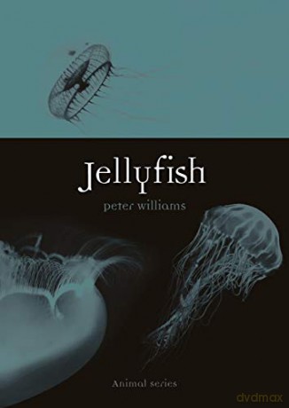 Jellyfish (Animal) - Peter Williams [KSIĄŻKA]