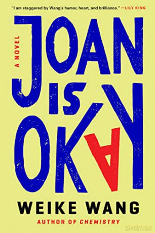 Joan Is Okay: A Novel - Weike Wang [KSIĄŻKA]