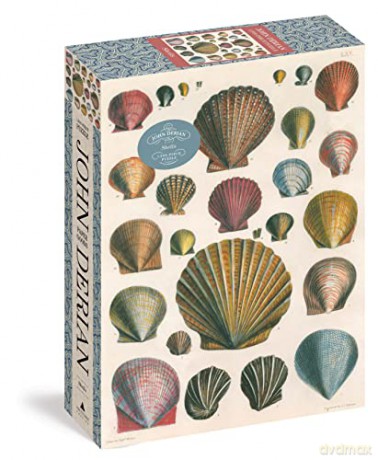 John Derian Shells - Derian [KSIĄŻKA]