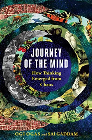 Journey of the Mind: How Thinking Emerged from Chaos - Ogi Ogas [KSIĄŻKA]