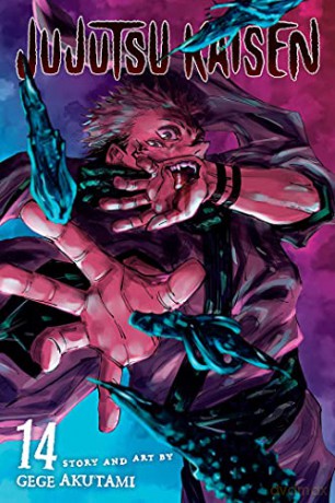 Jujutsu Kaisen, Vol. 14: Shonen: Volume 14 - Gege Akutami [KSIĄŻKA]