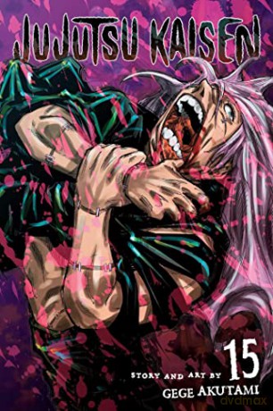 Jujutsu Kaisen, Vol. 15: Volume 15 - Gege Akutami [KSIĄŻKA]
