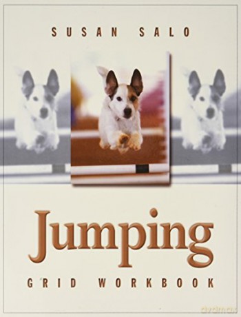 Jumping Grid Workbook - Susan Salo [KSIĄŻKA]