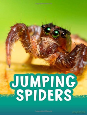 Jumping Spiders (Animals) - Jaclyn Jaycox [KSIĄŻKA]