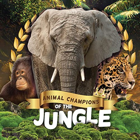 Jungle (Animal Champions of the) - Mignonne Gunasekara [KSIĄŻKA]