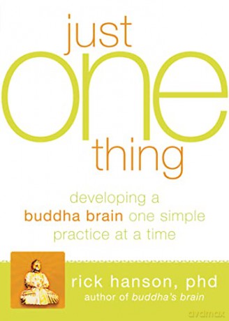 Just One Thing: Developing A Buddha Brain One Simple Practice at a Time - Rick Hanson [KSIĄŻKA]