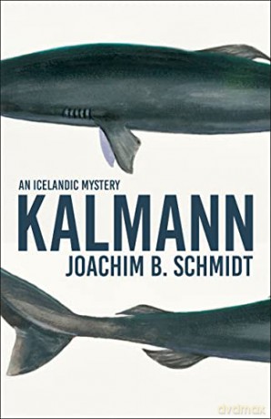Kalmann - Joachim B. Schmidt [KSIĄŻKA]