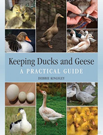 Keeping Ducks and Geese: A Practical Guide - Debbie Kingsley [KSIĄŻKA]