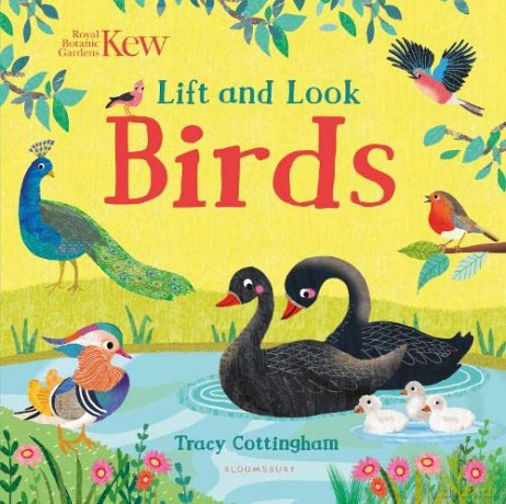 Kew: Lift and Look Birds - Tracy Cottingham [KSIĄŻKA]