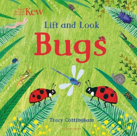 Kew: Lift and Look Bugs - Tracy Cottingham [KSIĄŻKA]