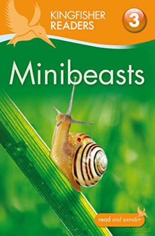 Kingfisher Readers: Minibeasts (Level 3: Reading Alone with Some Help) (Kingfisher Readers, 42) - Thea Feldman [KSIĄŻKA]