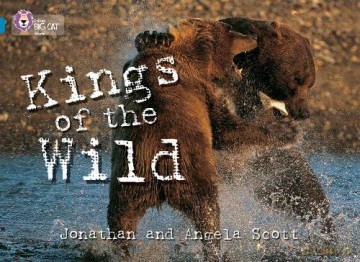 Kings of the Wild: BBC documentary makers Jonathan and Angela Scott take us into the Brown Bear kingdom. (Collins Big Cat) - Jonathan Scott [KSIĄŻKA]