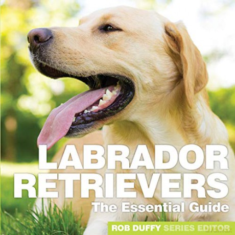 Labrador Retrievers: The Essential Guide - Robert Duffy [KSIĄŻKA]