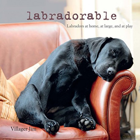 Labradorable: Labradors at home, at large, and at play - Villager Jim [KSIĄŻKA]