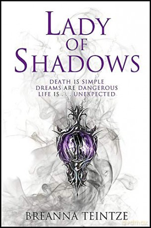 Lady of Shadows: A fantastical whodunit full of heart, plot, fun and magic (The Empty Gods) - Breanna Teintze [KSIĄŻKA]