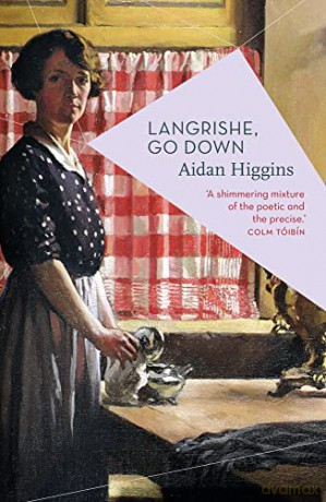 Langrishe, Go Down - Aidan Higgins [KSIĄŻKA]