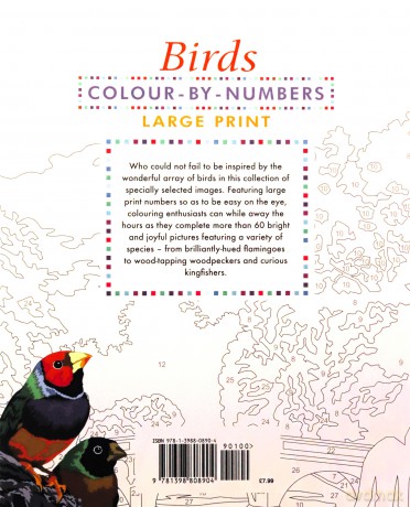 Large Print Colour by Numbers Birds: Easy-to-Read - David Woodroffe [KSIĄŻKA]