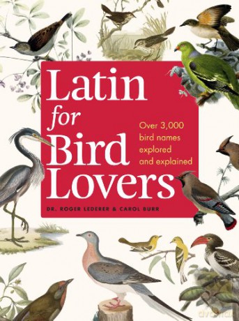 Latin For Bird Lovers: Over 3, 000 Bird Names Explored And Explained - Roger J. Lederer [KSIĄŻKA]