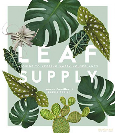Leaf Supply: A guide to keeping happy house plants - Lauren Camilleri [KSIĄŻKA]
