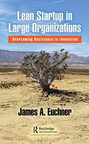 Lean Startup in Large Organizations: Overcoming Resistance to Innovation - James A. Euchner [KSIĄŻKA]