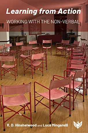 Learning from Action: Working with the Non-verbal [KSIĄŻKA]