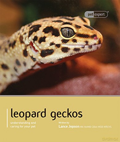 Leopard Gecko - Pet Expert: Understanding and Caring for Your Pet - Lance Jepson [KSIĄŻKA]