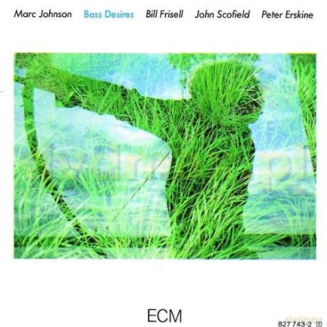 Bass Desires: Bass Desires (Touchstones) [CD]