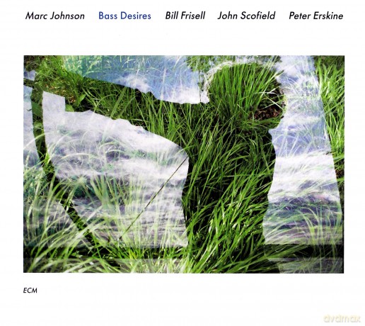 Bass Desires: Bass Desires (Touchstones) [CD]