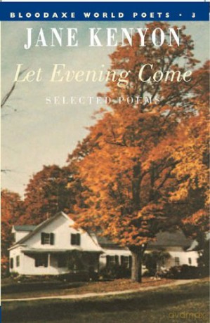 Let Evening Come (Bloodaxe World Poets) - Jane Kenyon [KSIĄŻKA]