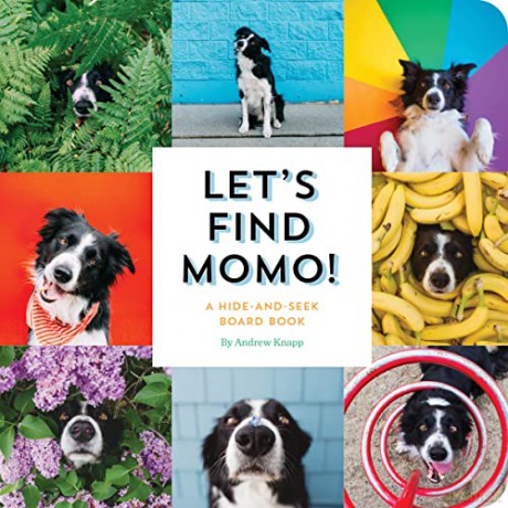 Let's Find Momo!: A Hide-and-Seek Board Book: 3 - Andrew Knapp [KSIĄŻKA]