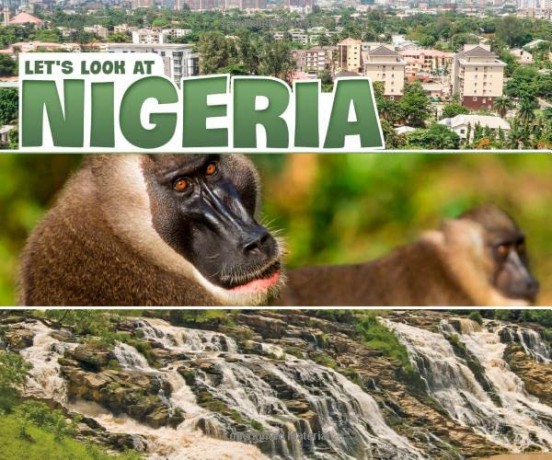 Let's Look at Nigeria (Let's Look at Countries) - Mary Meinking [KSIĄŻKA]