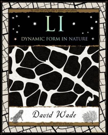 Li: Dynamic Form in Nature (Mathemagical Ancient Wizdom) - David Wade [KSIĄŻKA]