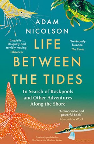 Life Between the Tides: In Search of Rockpools and Other Adventures Along the Shore - Adam Nicolson [KSIĄŻKA]