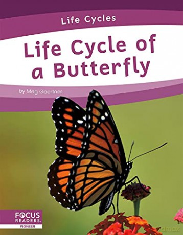 Life Cycle of a Butterfly (Life Cycles) - Meg Gaertner [KSIĄŻKA]