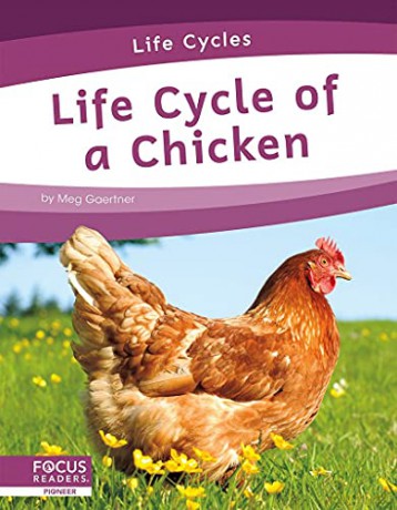 Life Cycle of a Chicken (Life Cycles) - Meg Gaertner [KSIĄŻKA]