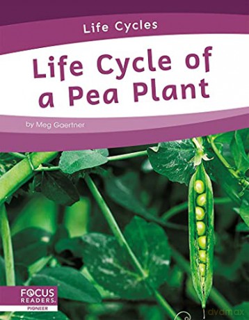 Life Cycle of a Pea Plant (Life Cycles) - Meg Gaertner [KSIĄŻKA]