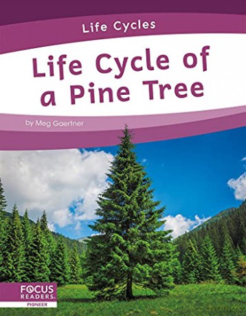 Life Cycle of a Pine Tree (Life Cycles) - Meg Gaertner [KSIĄŻKA]