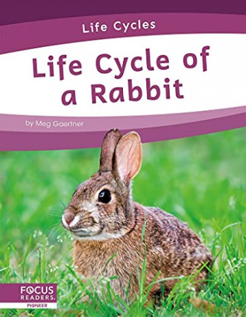 Life Cycle of a Rabbit (Life Cycles) - Meg Gaertner [KSIĄŻKA]