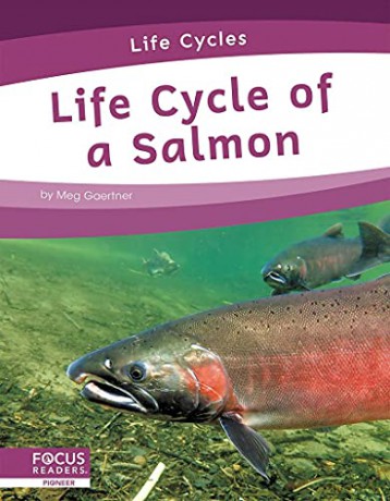 Life Cycle of a Salmon (Life Cycles) - Meg Gaertner [KSIĄŻKA]