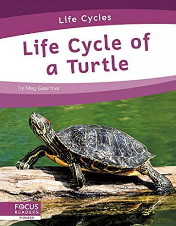 Life Cycle of a Turtle (Life Cycles) - Meg Gaertner [KSIĄŻKA]
