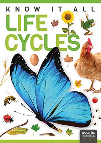Life Cycles (Know It All) - Louise Nelson [KSIĄŻKA]