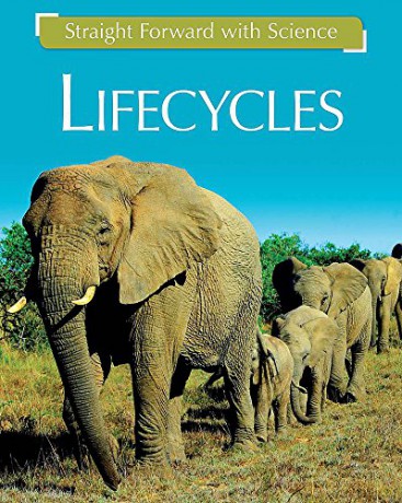 Life Cycles (Straight Forward with Science) - Peter Riley [KSIĄŻKA]