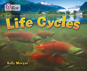 Life Cycles: Band 16/Sapphire (Collins Big Cat) - Sally Morgan [KSIĄŻKA]